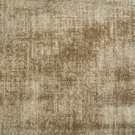 Sahara